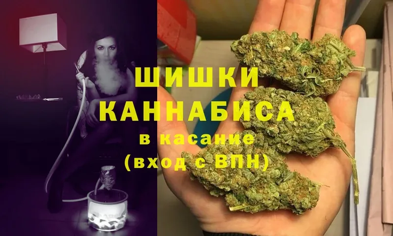 Бошки Шишки семена  мега как зайти  Видное  наркошоп 